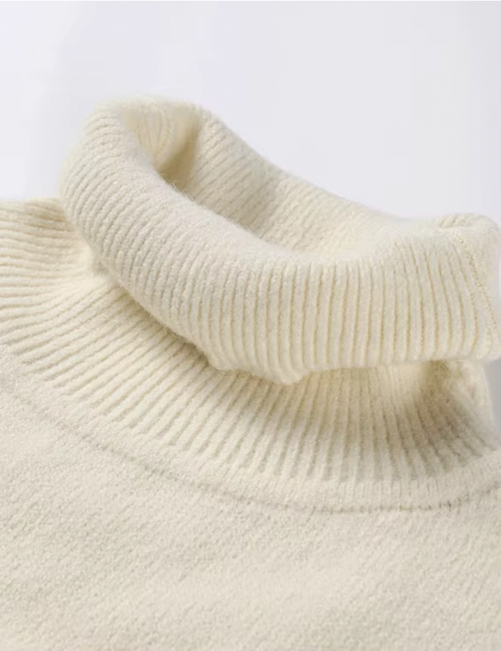 Turtleneck Jumper Casual Knit